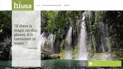 hiusanatura website design